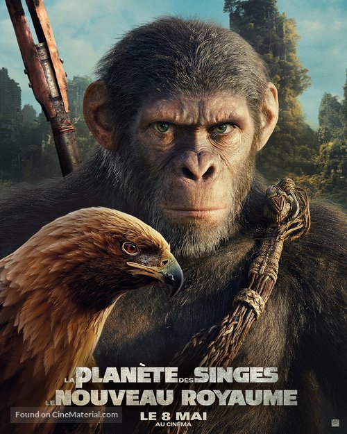 Kingdom of the Planet of the Apes - French Movie Poster