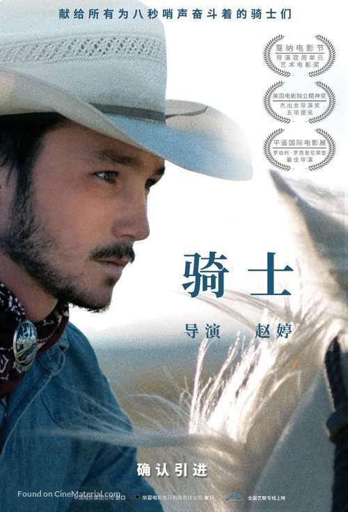 The Rider - Chinese Movie Poster