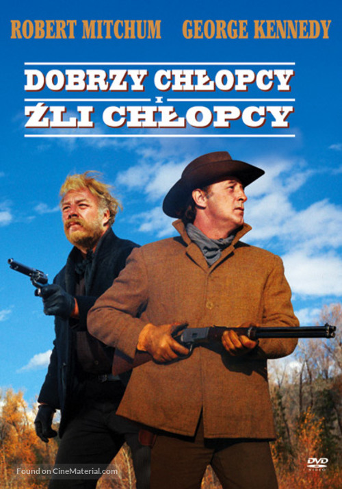 The Good Guys and the Bad Guys - Polish Movie Cover