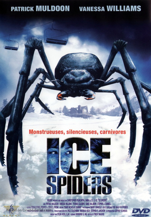 Ice Spiders - French Movie Cover