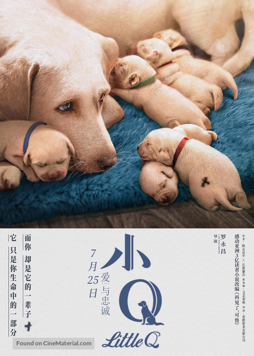 Little Q - Chinese Movie Poster