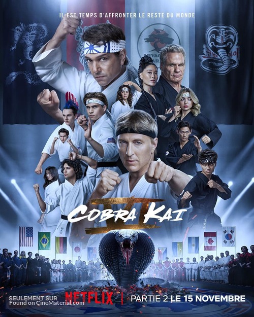 &quot;Cobra Kai&quot; - French Movie Poster