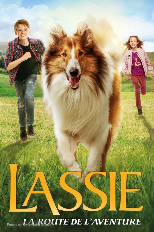 Lassie - Eine abenteuerliche Reise - French Movie Cover