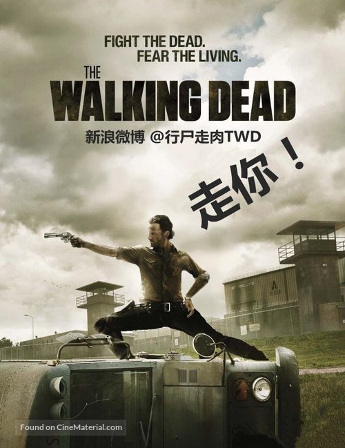 &quot;The Walking Dead&quot; - Japanese Movie Poster