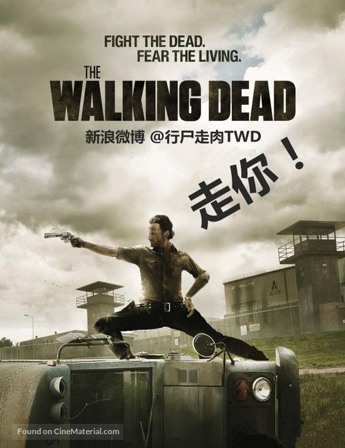 &quot;The Walking Dead&quot; - Japanese Movie Poster