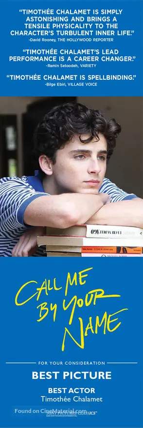 Call Me By Your Name 17 For Your Consideration Movie Poster Call Me By Your Name 17 For Your Consideration Movie Poster