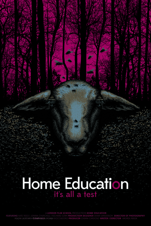 Home Education - Movie Poster