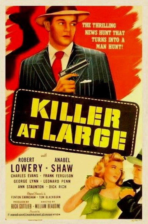 Killer at Large - Movie Poster