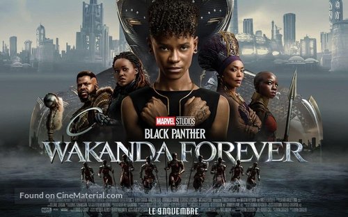 Black Panther: Wakanda Forever - French Movie Poster
