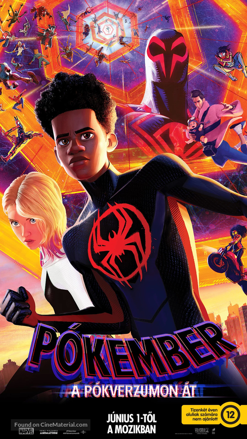 Spider-Man: Across the Spider-Verse - Hungarian Movie Poster