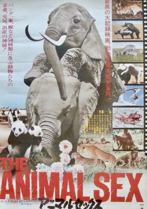 Sex and the Animals - Japanese Movie Poster
