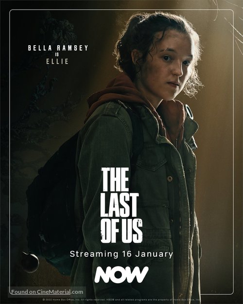 &quot;The Last of Us&quot; - Irish Movie Poster