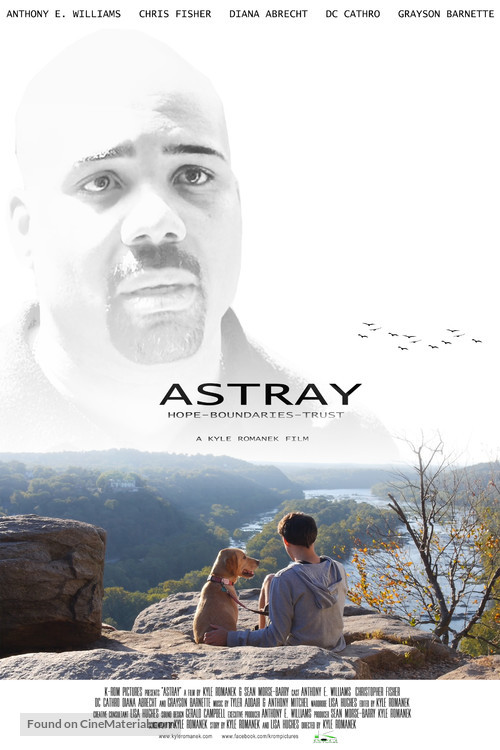 Astray - Canadian Movie Poster