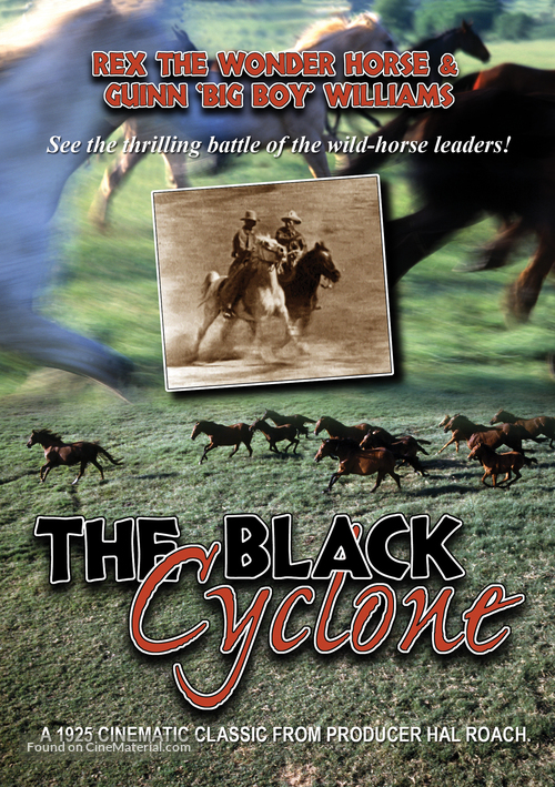 Black Cyclone - DVD movie cover