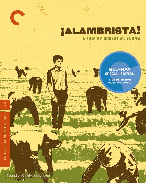 Alambrista! - Blu-Ray movie cover
