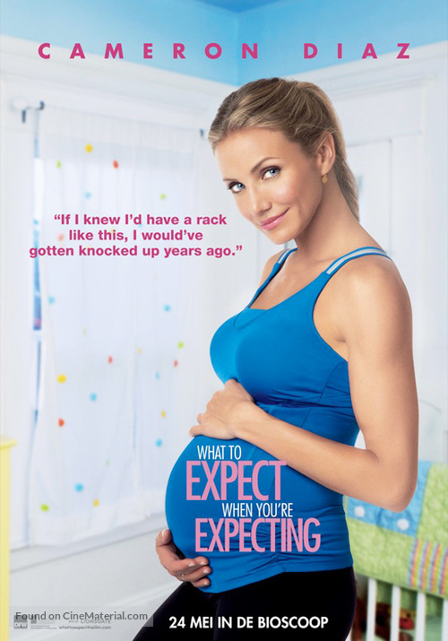 What to Expect When You&#039;re Expecting - Dutch Movie Poster