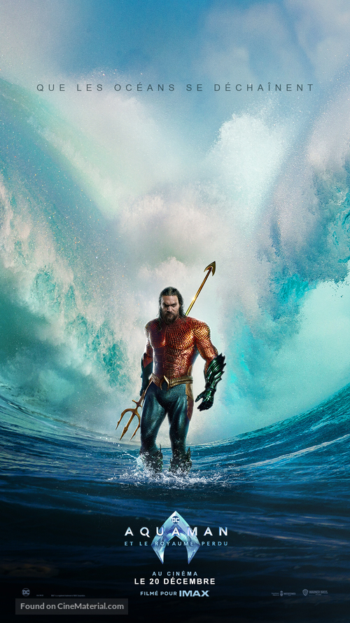 Aquaman and the Lost Kingdom - French Movie Poster