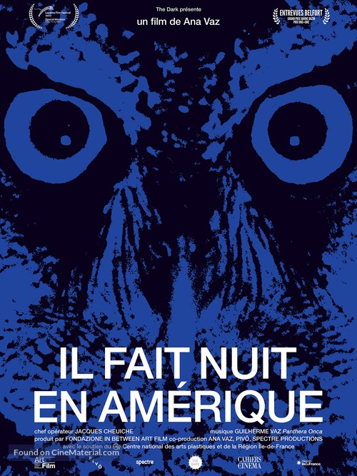 &Eacute; Noite na Am&eacute;rica - French Movie Poster