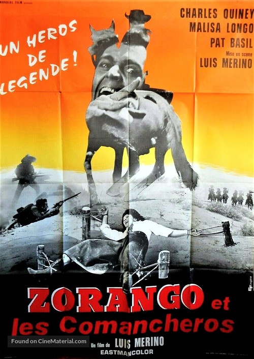 Zorro il cavaliere della vendetta - French Movie Poster