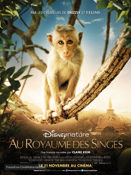 Monkey Kingdom - French Movie Poster