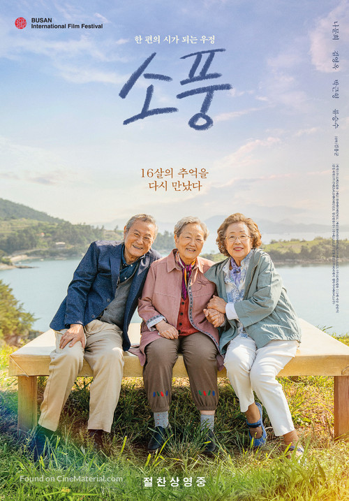 Picnic - South Korean Movie Poster