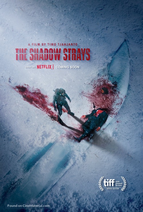 The Shadow Strays - Movie Poster