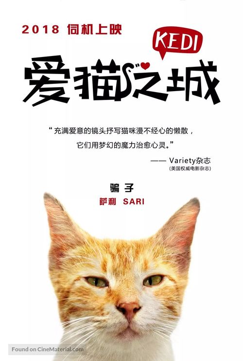 Kedi - Chinese Movie Poster