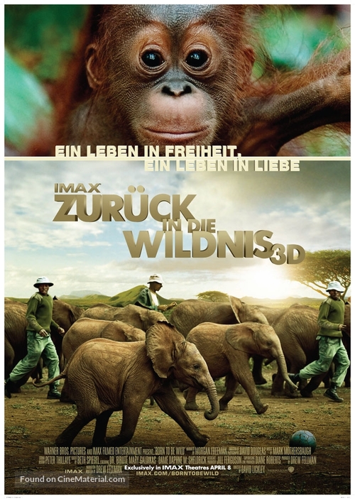 Born to Be Wild - German Movie Poster