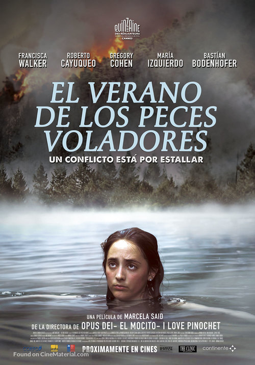 El verano de los peces voladores - Chilean Movie Poster