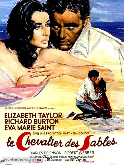 The Sandpiper - French Movie Poster