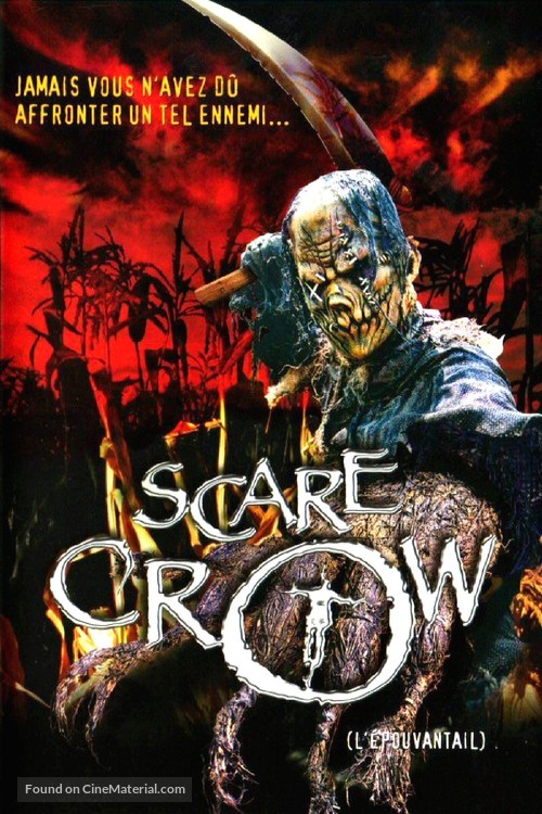 Scarecrow - French DVD movie cover