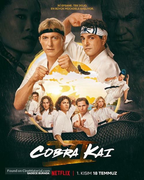 &quot;Cobra Kai&quot; - Turkish Movie Poster