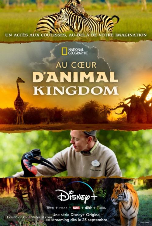 &quot;Magic of Disney&#039;s Animal Kingdom&quot; - French Movie Poster