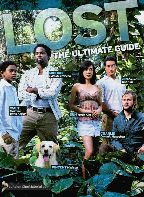 &quot;Lost&quot; - poster