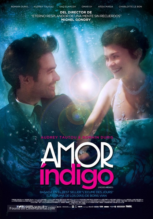 L&#039;&eacute;cume des jours - Mexican Movie Poster
