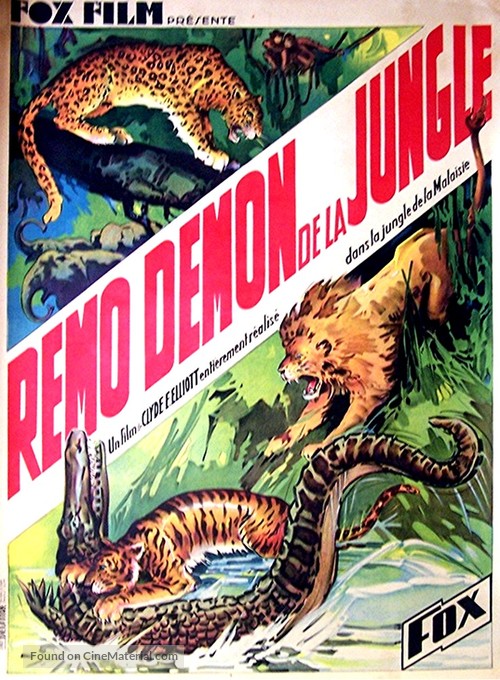 The Devil Tiger - French Movie Poster