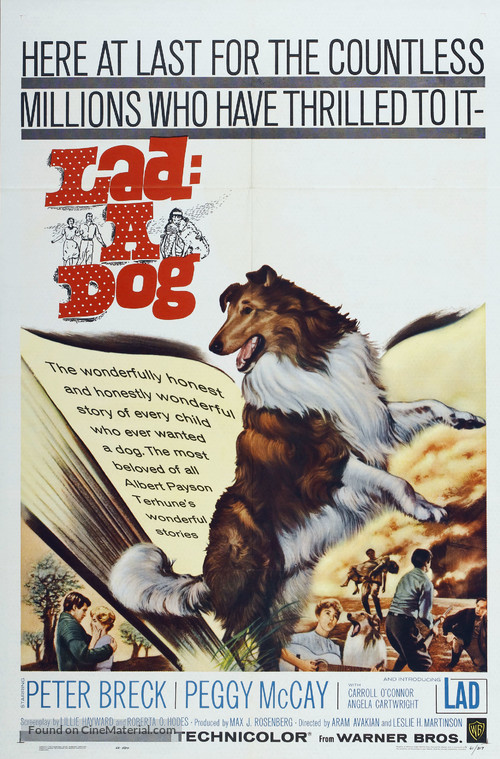 Lad: A Dog - Movie Poster