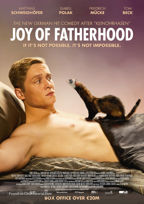 Vaterfreuden - Movie Poster