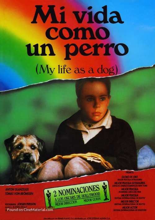 Mitt liv som hund - Spanish Movie Poster