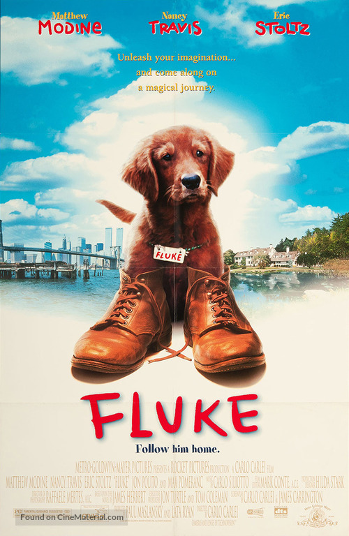 Fluke - Movie Poster