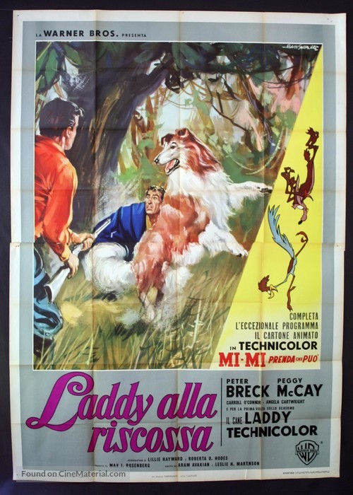 Lad: A Dog - Italian Movie Poster