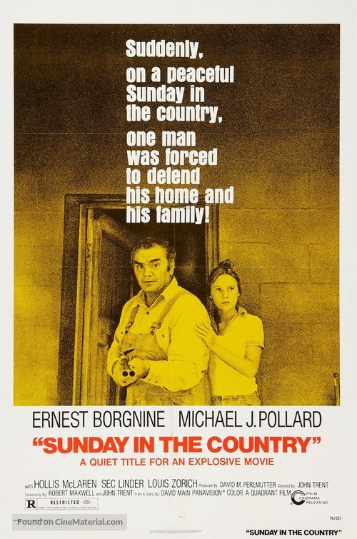 Sunday in the Country - Movie Poster