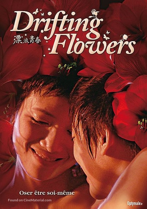 Piao lang qing chun - French DVD movie cover