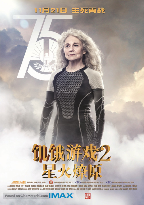 The Hunger Games: Catching Fire - Chinese Movie Poster