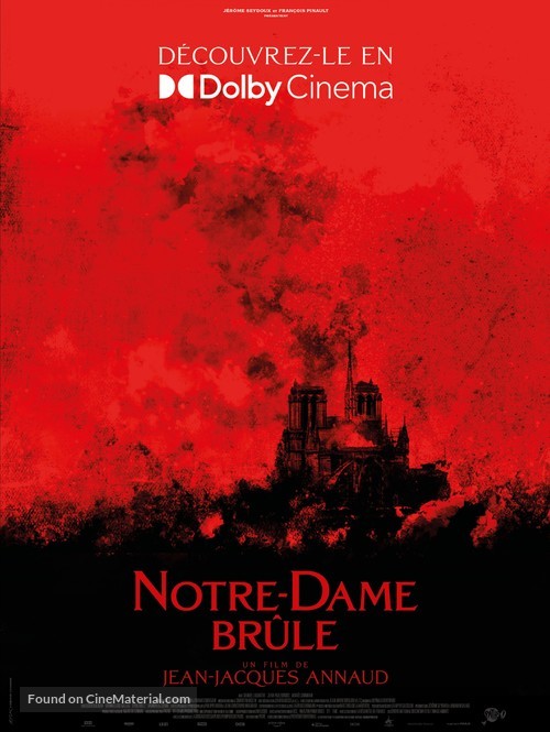 Notre-Dame br&ucirc;le - French Movie Poster