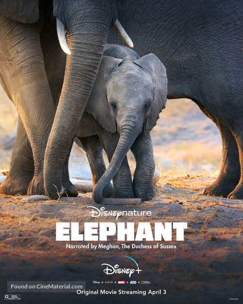 Elephant - Movie Poster