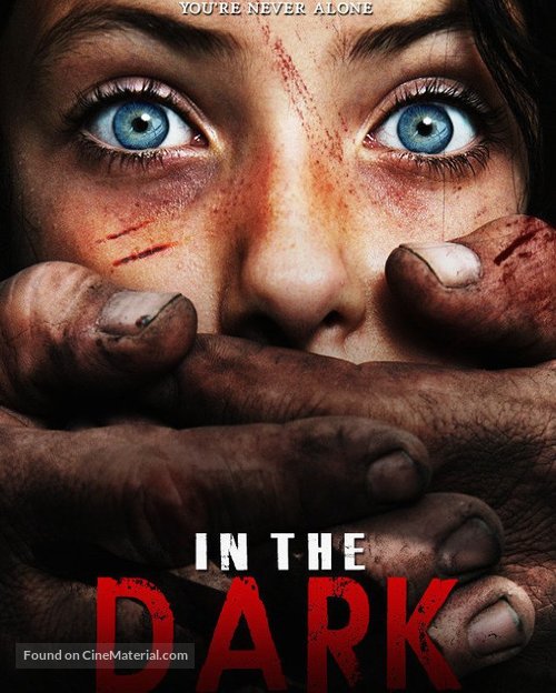 In the Dark - DVD movie cover