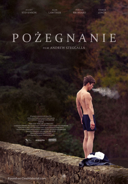 Departure - Polish Movie Poster
