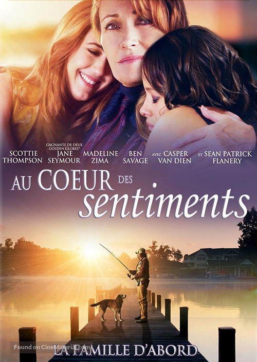 Lake Effects - French DVD movie cover