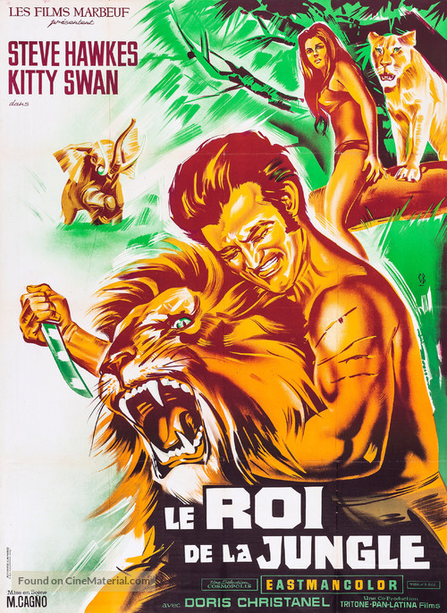 Tarz&aacute;n en la gruta del oro - French Movie Poster